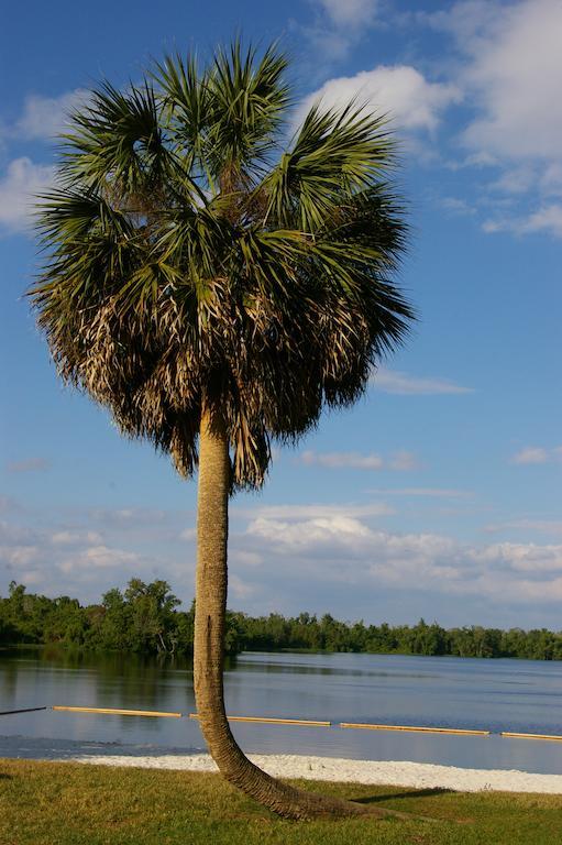 Cypress Cove Nudist Resort Poinciana Exterior photo